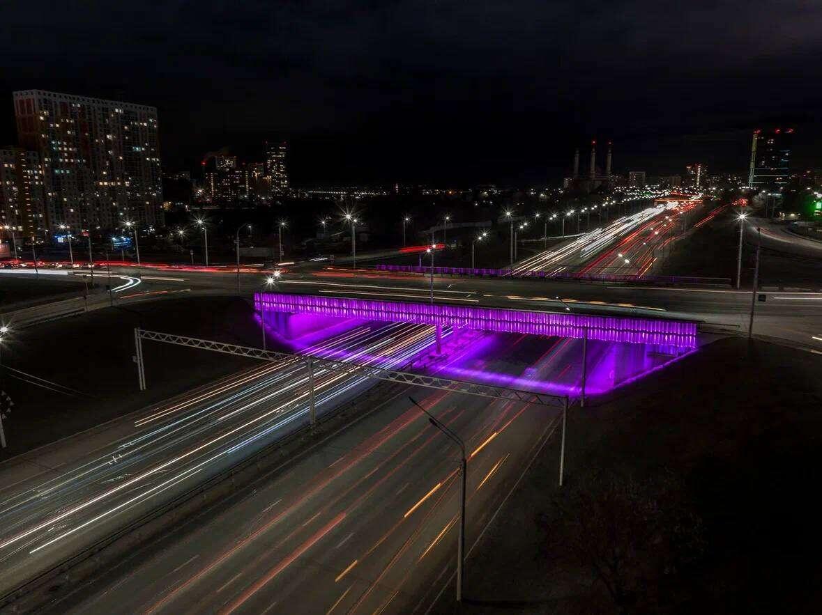    Фото: соцсети Ратмира Мавлиева