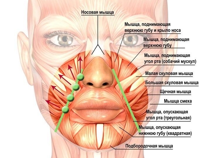 Крем от носогубных складок