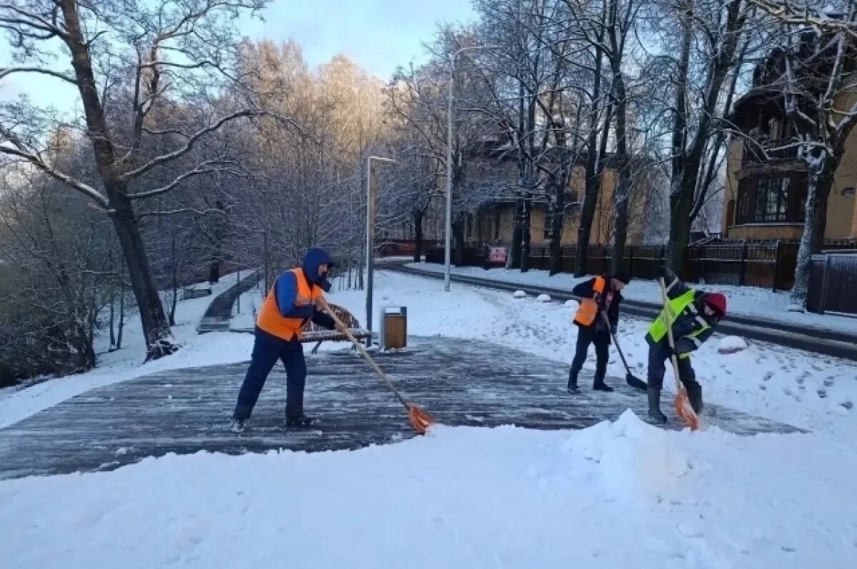    Евгений Разумишкин рассказал о способах борьбы со снегом в Петербурге