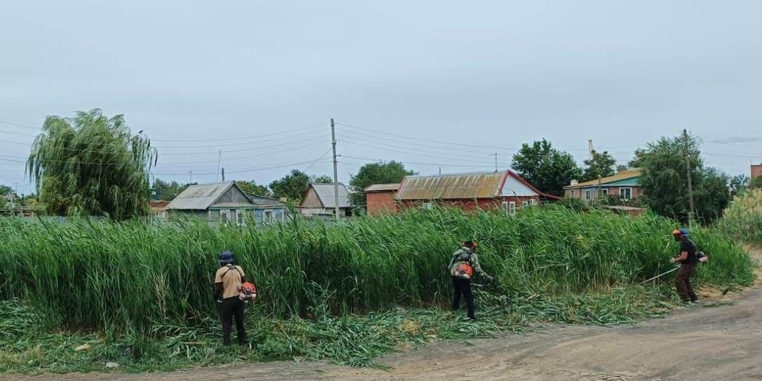 В Астрахани продолжается скос сорняков и камыша