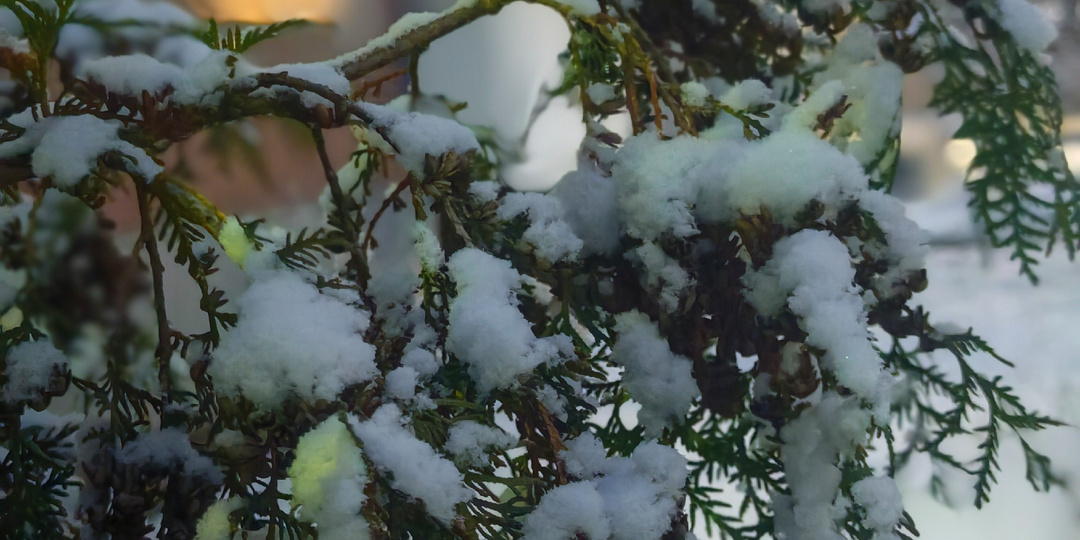 Немного пояснений по статьям и комментариям