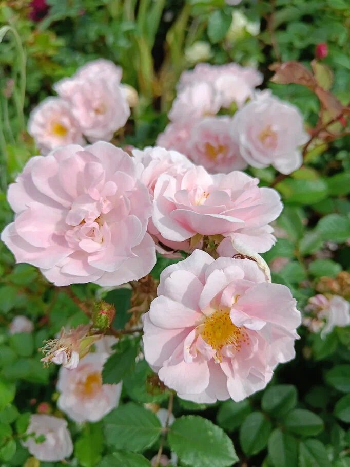 Листайте вправо, еще несколько фотографий.