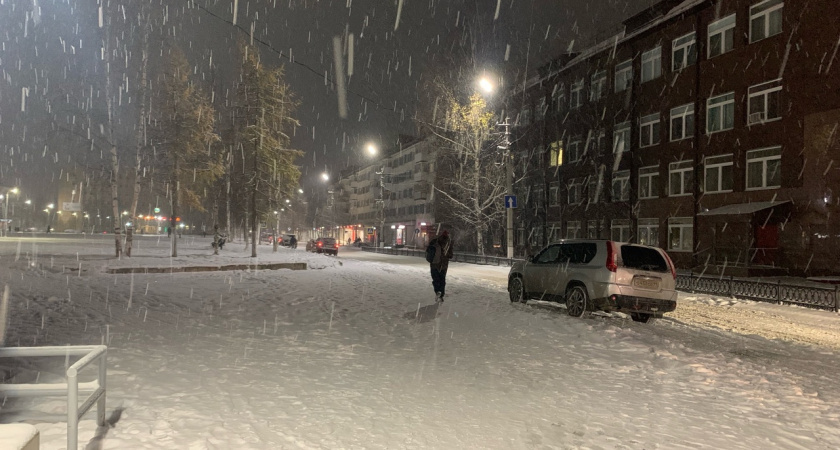    Вильфанд сделал прогноз на предстоящую зиму: «Сценарий неутешительный» - что стоит ждать садоводам и пожилым