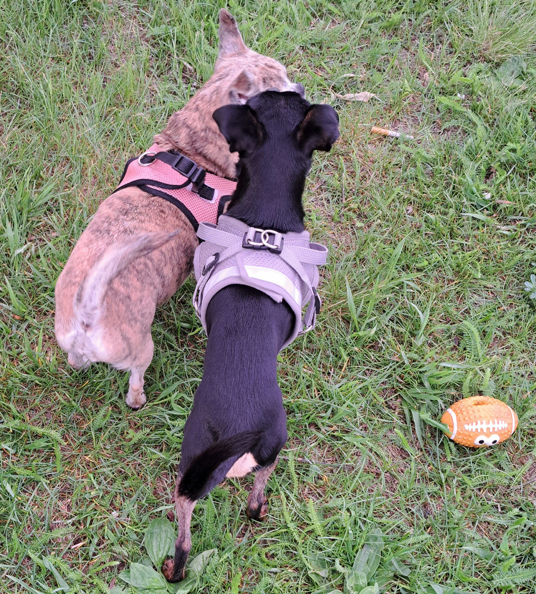 фото из личного архива