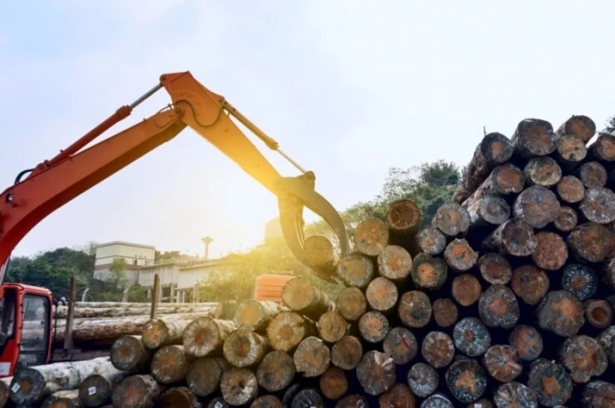    В Красноярском крае бизнесмена обвинили в контрабанде леса на 10 млн рублей