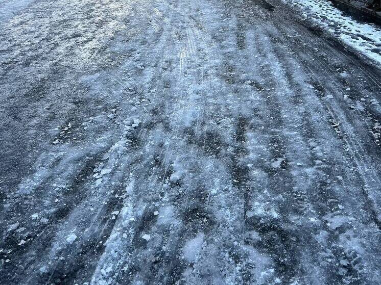     Фото: Архив МК в Питере.