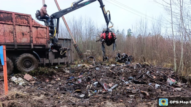 Фото: Комитет по природным ресурсам Ленинградской области