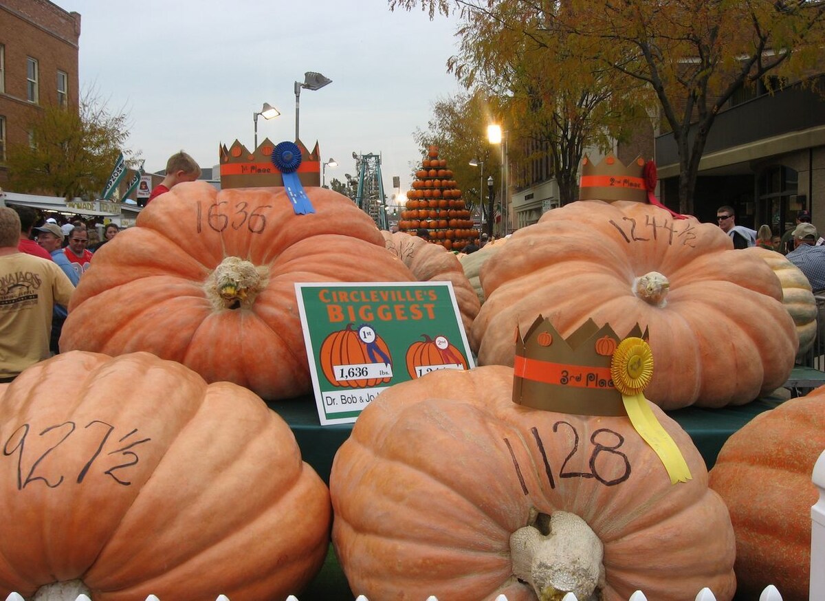    Circleville Pumpkin Show, 2009 г, тыквы-призеры. Фото с сайта ohiowins.com