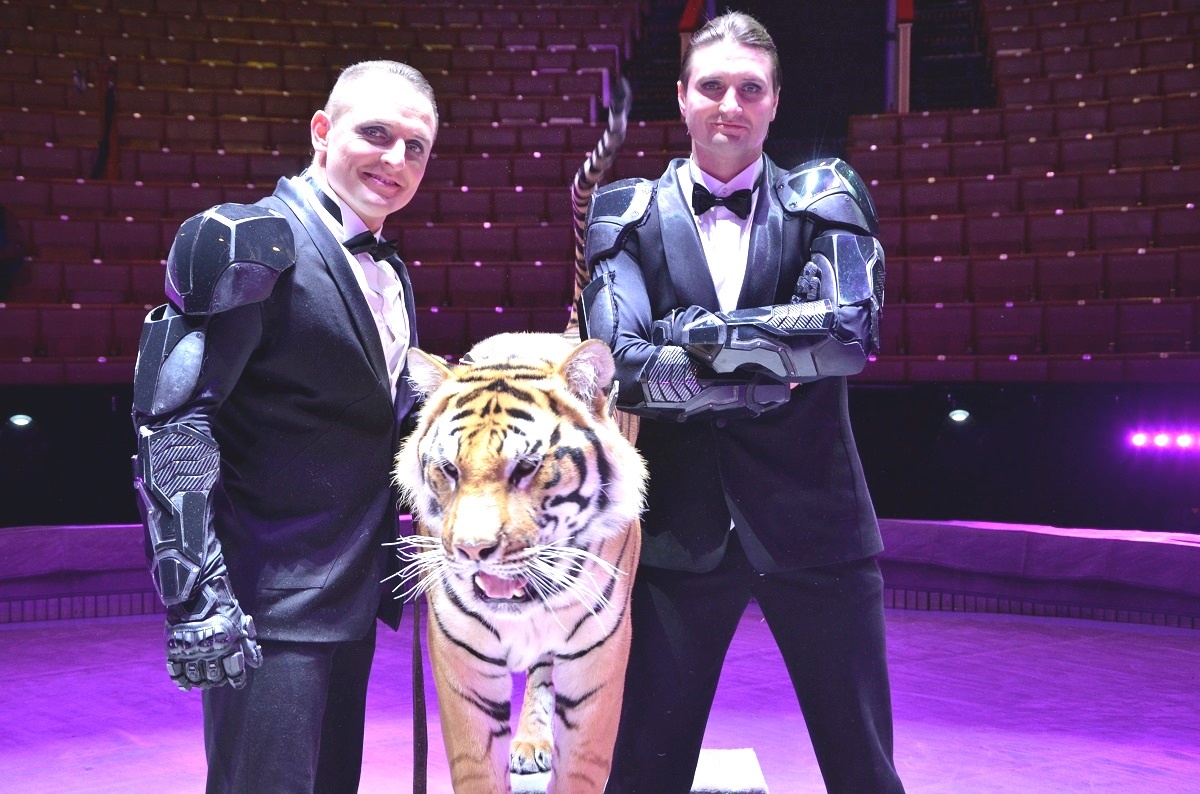 Братья Запашные.