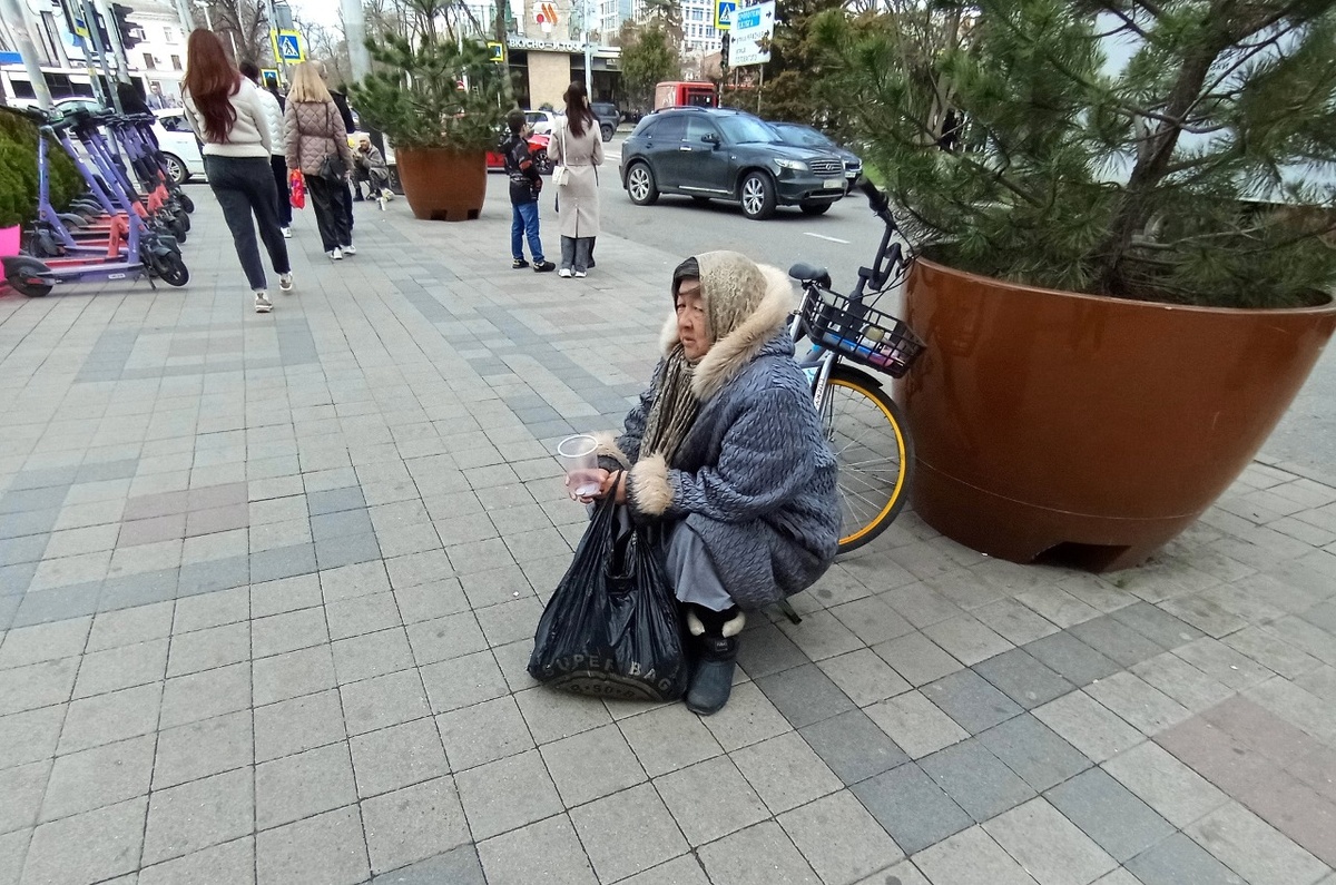 Север золотой, Юг теневой: что скрывает ценовая карта страны. Фото:
Алексей Лохвицкий / ForPost