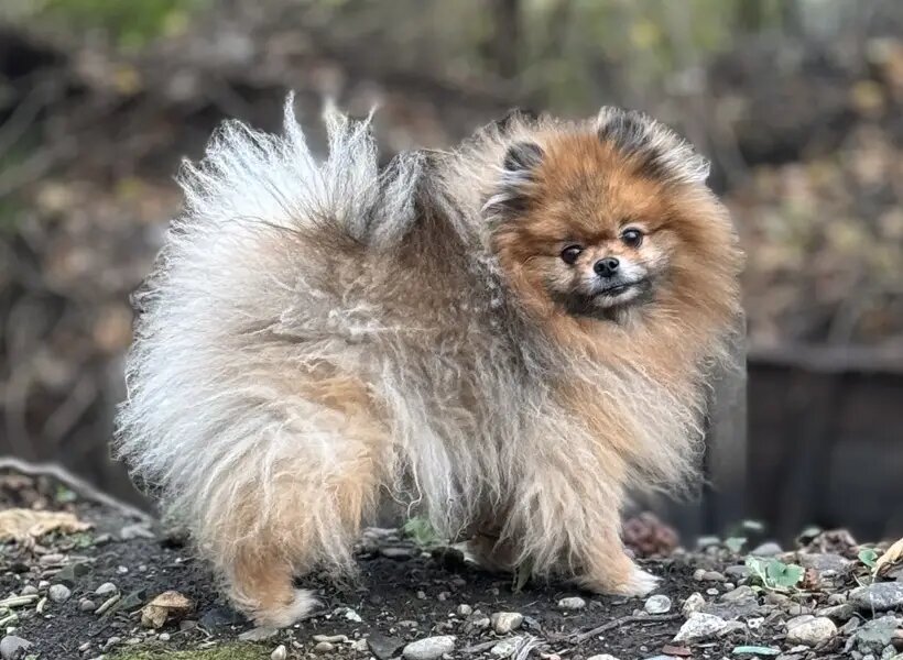     © "Интерфакс". Егор Сильченко