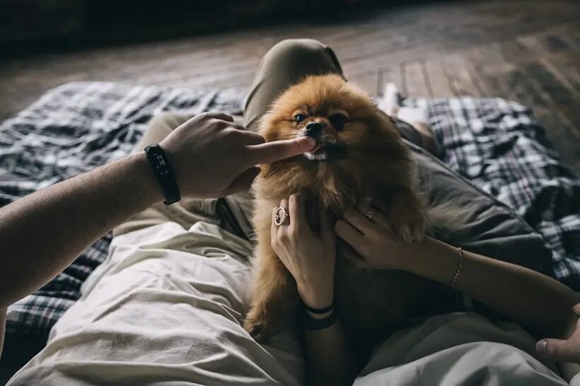    © "Интерфакс". Егор Сильченко