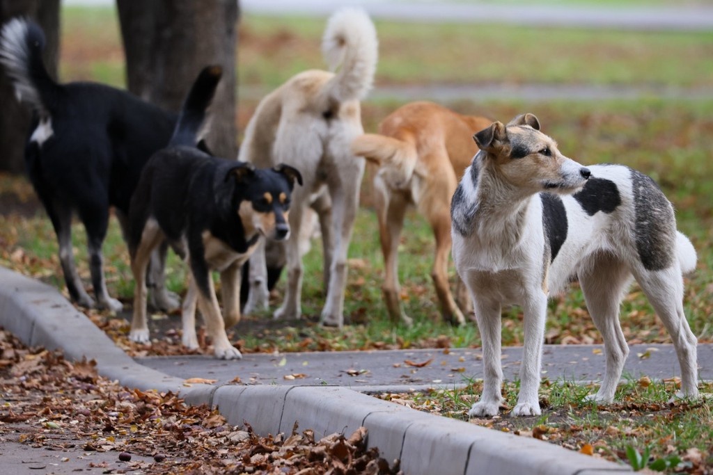    Фото © Александр Река / ТАСС