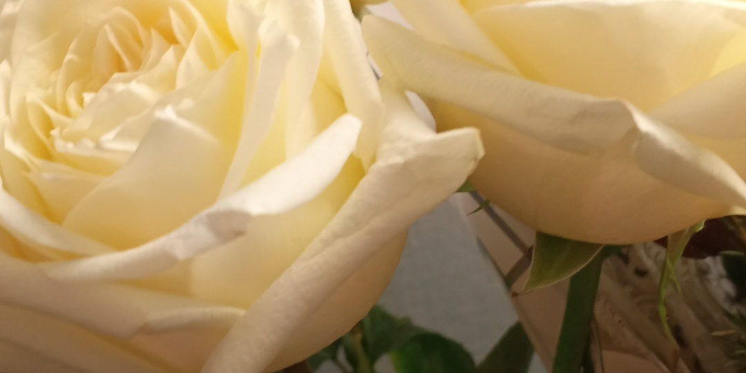 Распределение как диагноз: почему вернули советскую практику для медиков и кто следующий