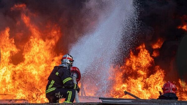    © Telegram Владимир Зеленский