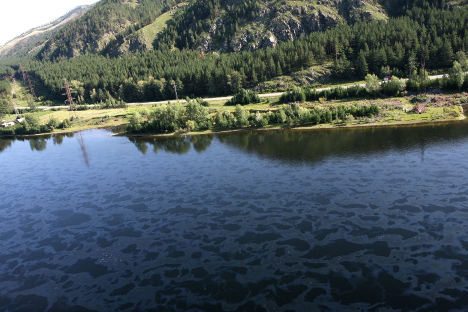Масло, попавшее в водную акваторию Енисея в результате аварии на Саяно-Шушенской ГЭС