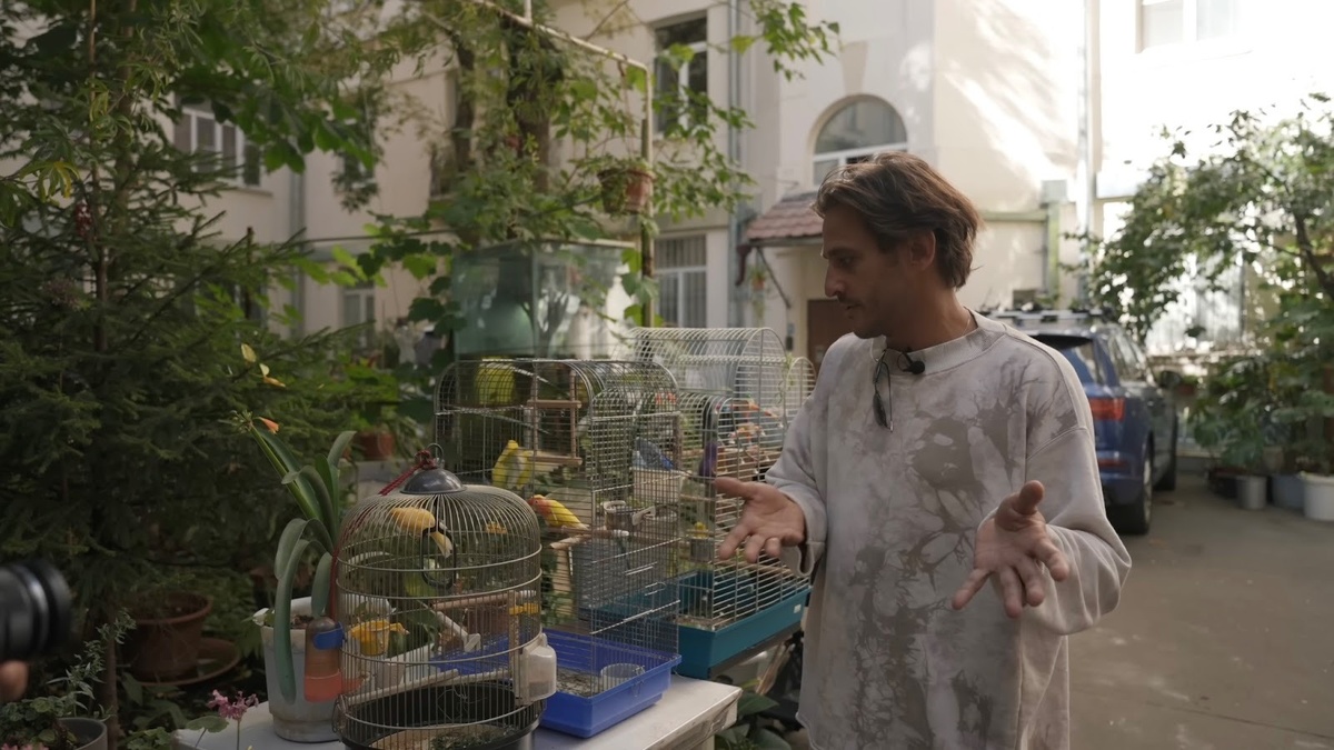 Листайте вправо, чтобы увидеть больше изображений