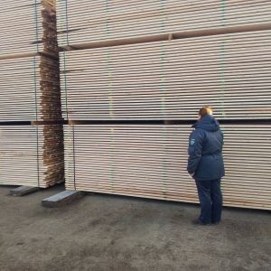    Фото: Россельхознадзор