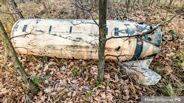     Фото: Минобороны РФ   
 Текст: Вера Басилая