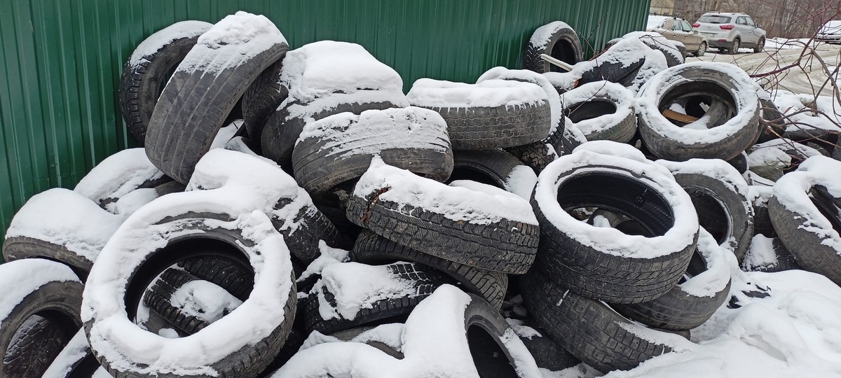    Фото: ГТРК Карелия