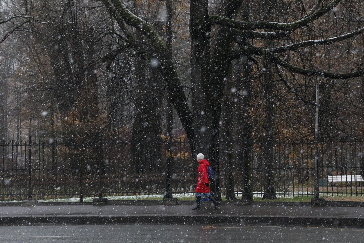 Роман Пименов / «Петербургский дневник»
