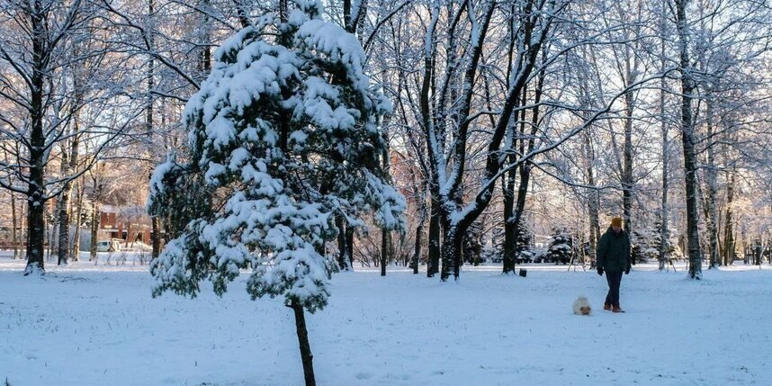    Алена Бобрович