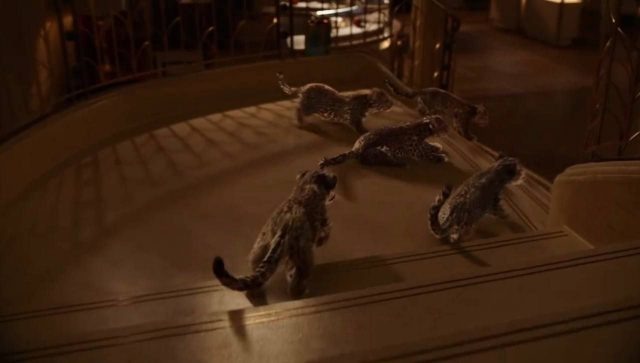    Кадр из рекламы Cartier