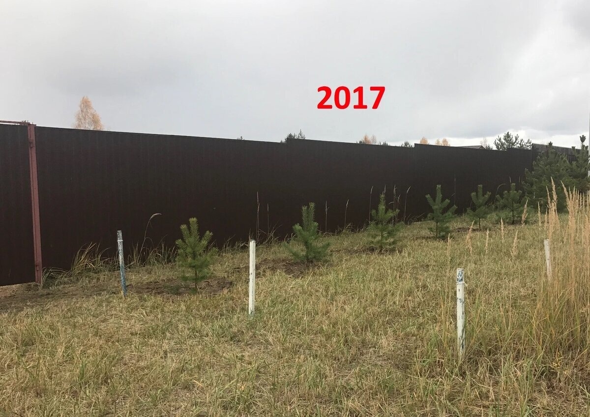 **Октябрь 2017 года**