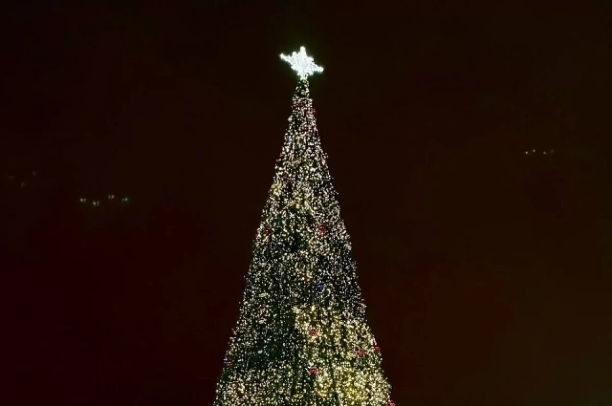    В Калуге к Новому году будет установлено более 30 елок