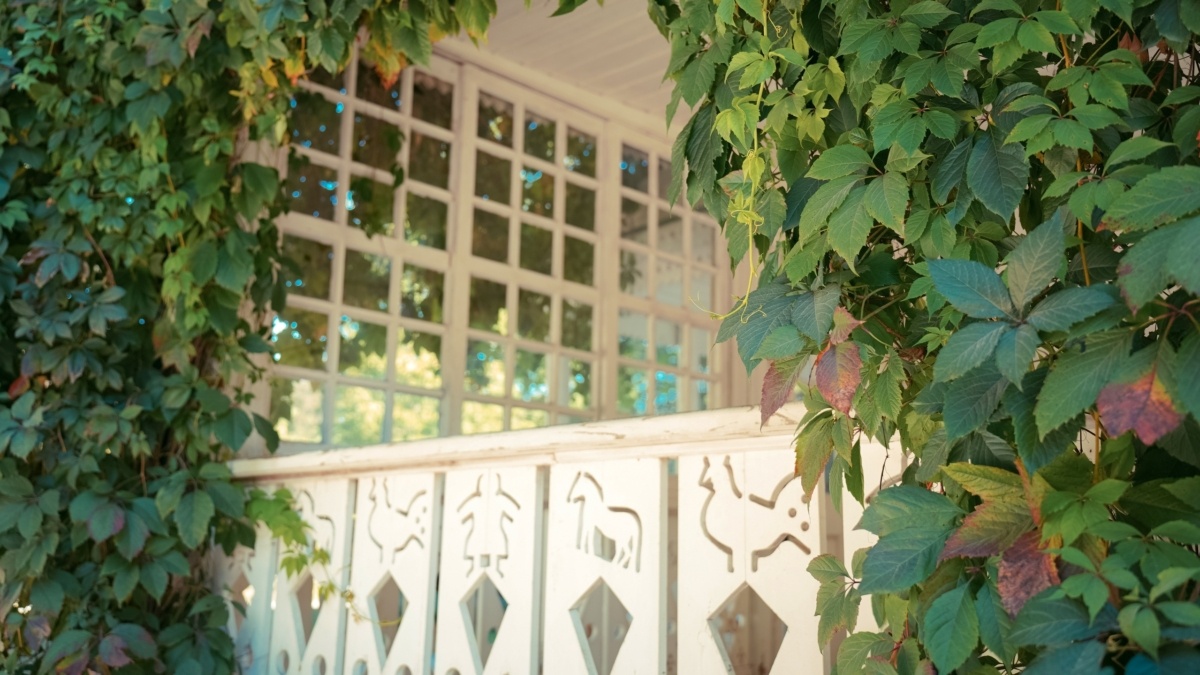 Светлана Мулыкина📷
