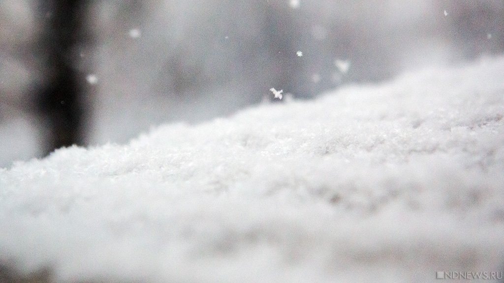    Фото из архива