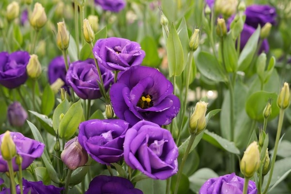 Источник фото shutterstock.com