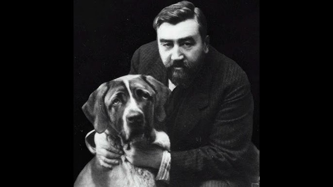 Источник изображения samokatschool.ru