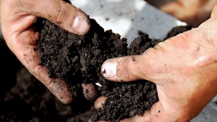 Простая диагностика почвы покажет половину проблем