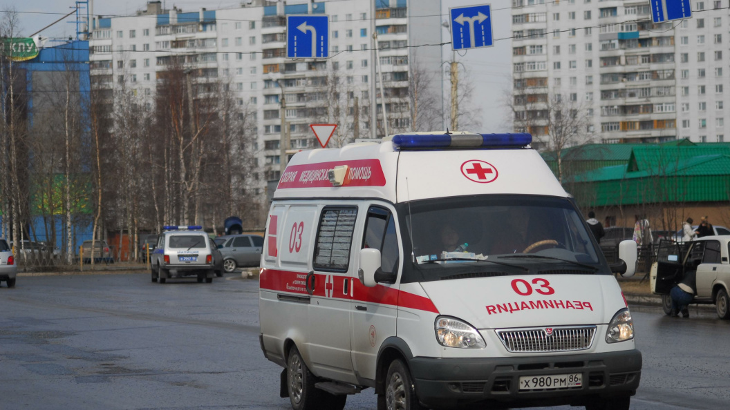    Фото: Mikhail Pletsky/Globallookpress