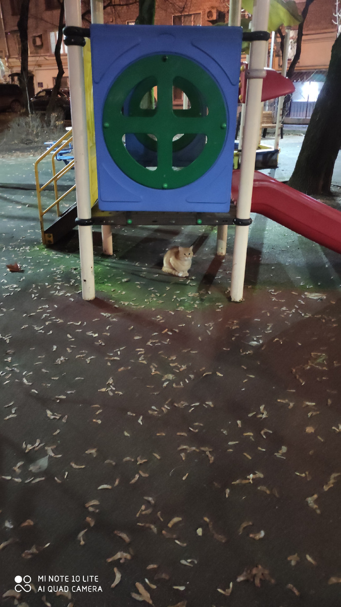 Папа Черри?