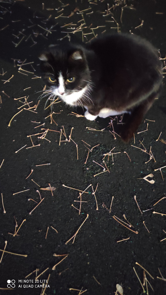 Она хорошо подготовилась в зиме