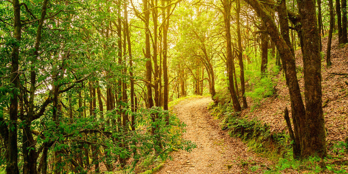 Даже короткие периоды тишины снижают уровень кортизола и улучшают концентрацию.
