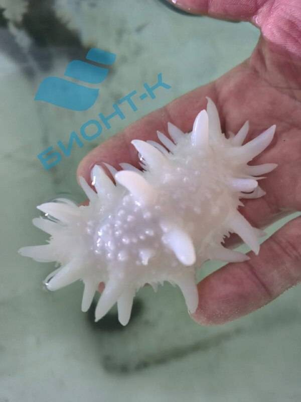    Источник фото: БИОНТ-К