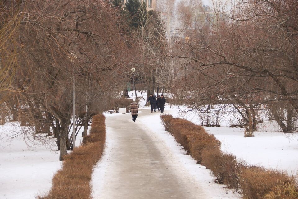   Конец осени в Барнауле. Источник: Виталий Барабаш
