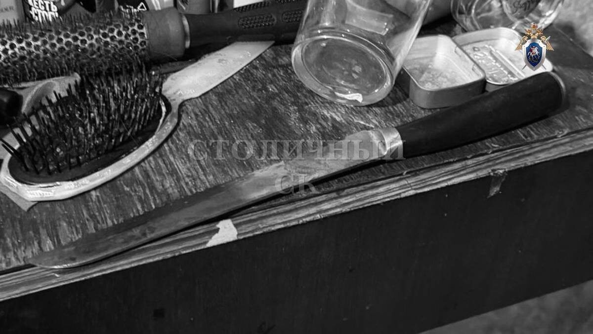    Фото: Пресс-служба Следственного комитета России по городу Москве / Telegram