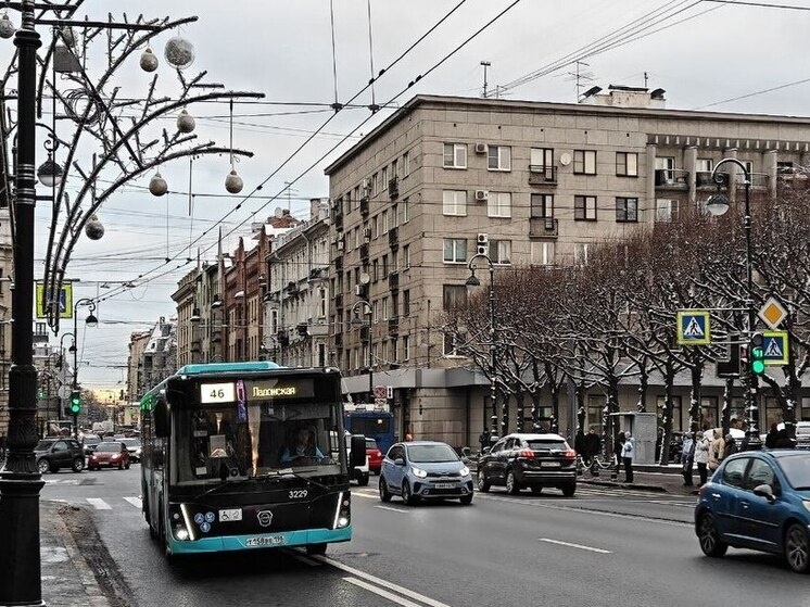     Фото: Читатели «МК в Питере».