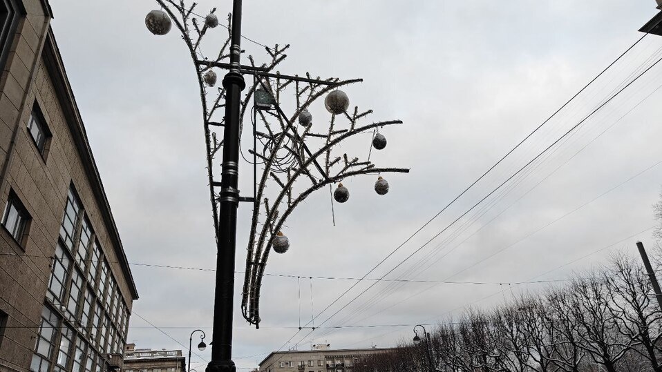     Фото: Читатели «МК в Питере».