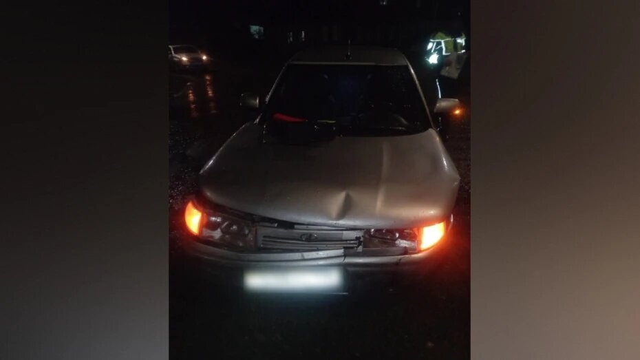    Автор фото: пресс-служба регионального ГУ МВД