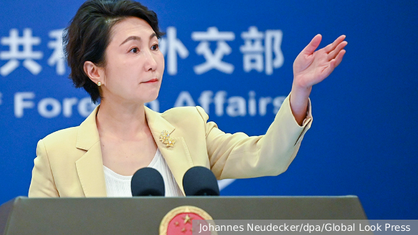     Фото: Johannes Neudecker/dpa/Global Look Press   
 Текст: Вера Басилая