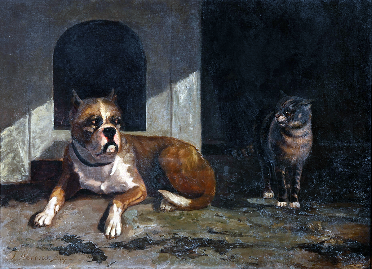 Собака и кошка. Частная коллекция