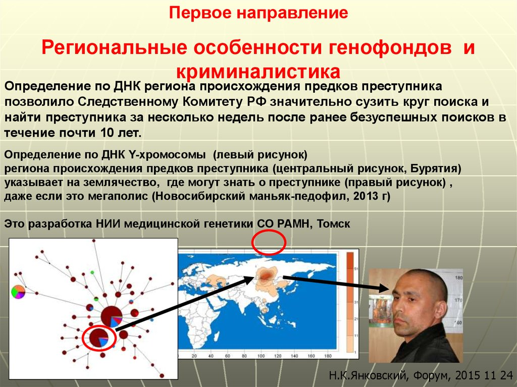 Источник: Союзная программа ДНК - идентификация - презентация онлайн, https://ppt-online.org/34936