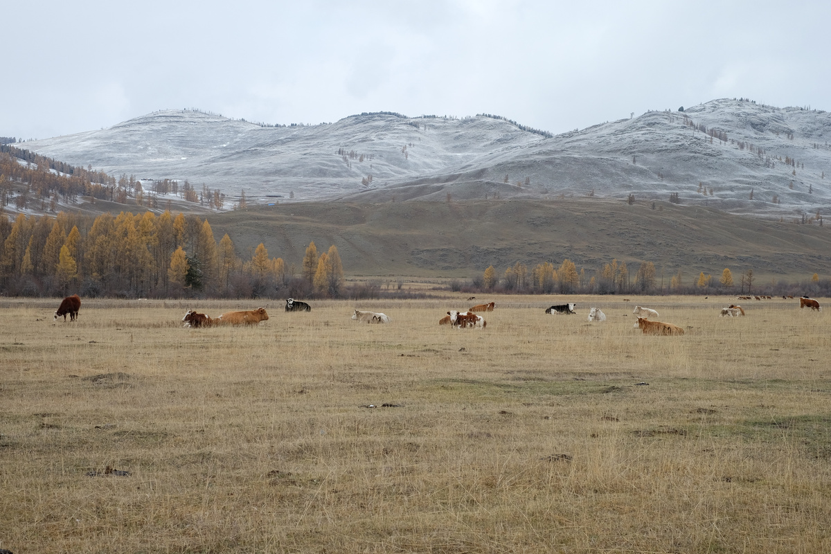 Вид, который хочется распечатать в большом формате.