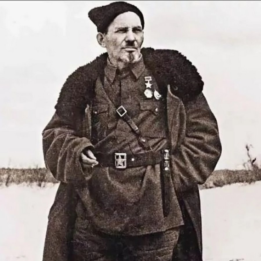 Фото в свободном доступе 