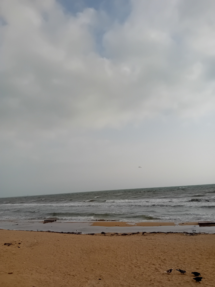 Авторское фото.